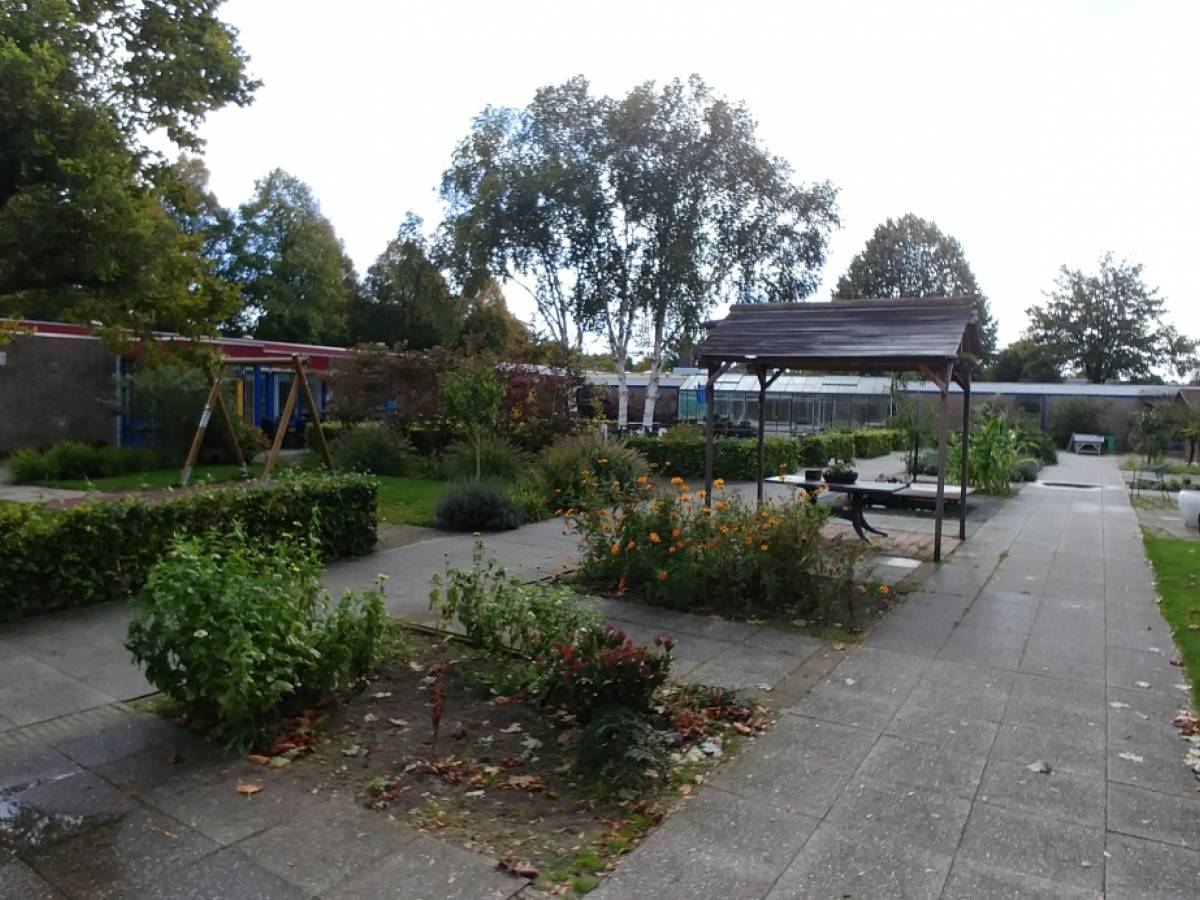 De tuin